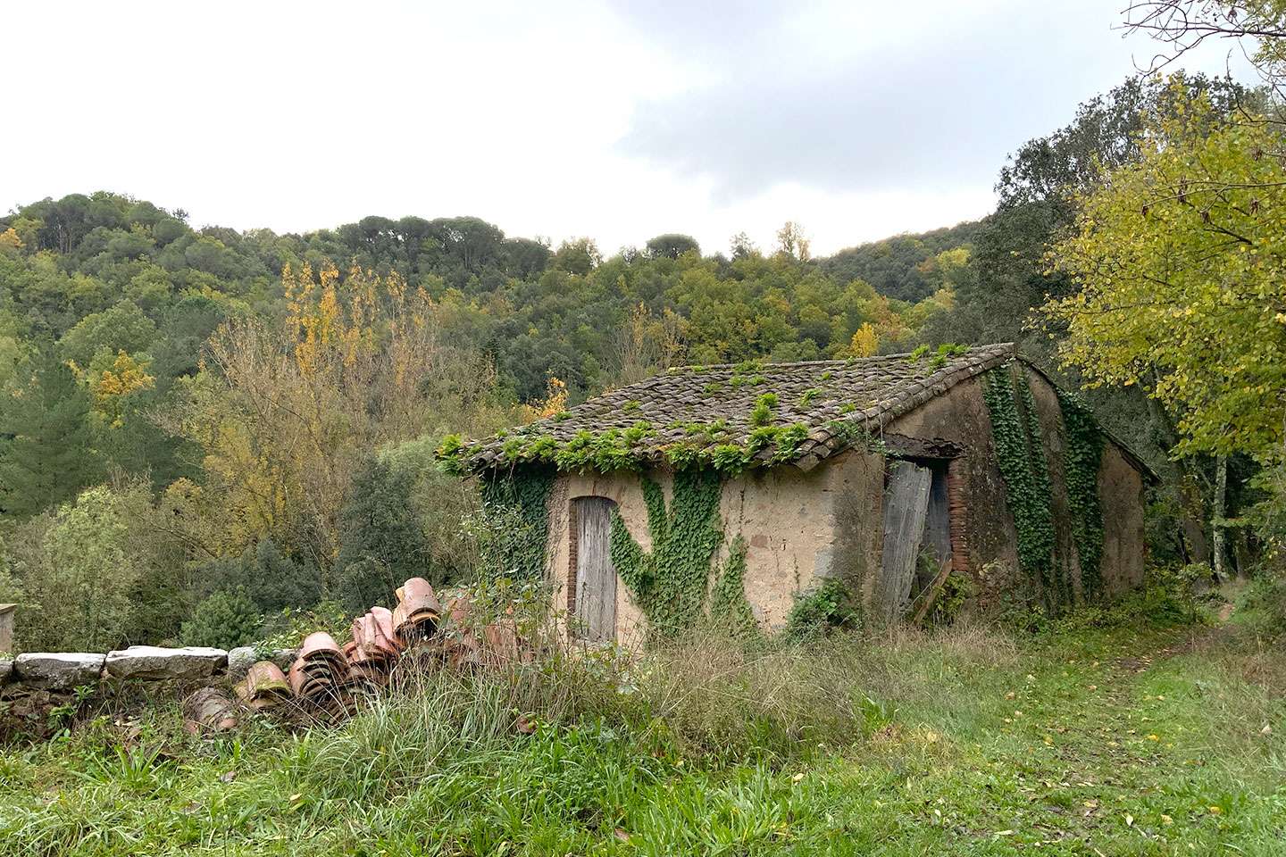 Casa_Venda_Viladrau_000011_01