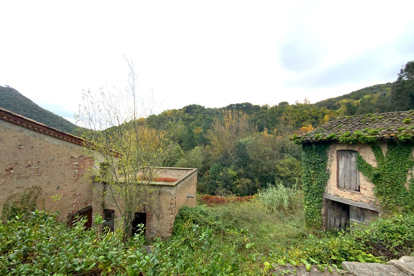Casa_Venda_Viladrau_000011_02